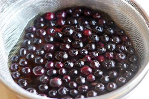 How To Dehydrate Blueberries