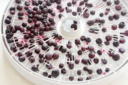 How To Dehydrate Blueberries