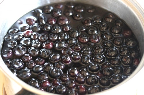 How To Series: Dehydrating Blueberries (Part 1)