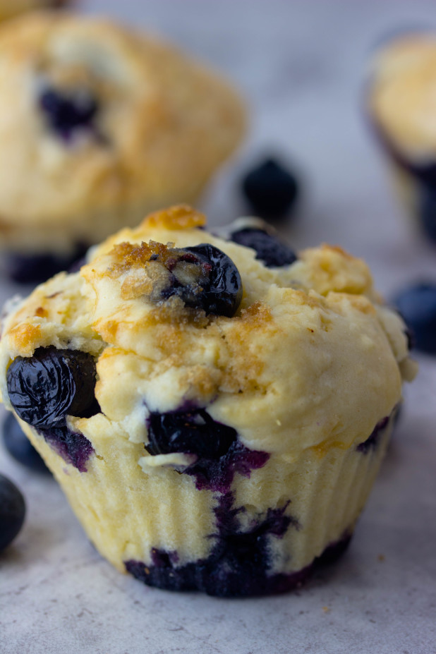 Blueberry Muffins (low-fat)