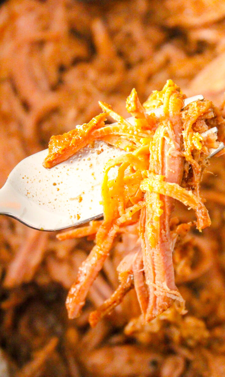 Healthy Flavorful Crockpot Brisket Barbacoa