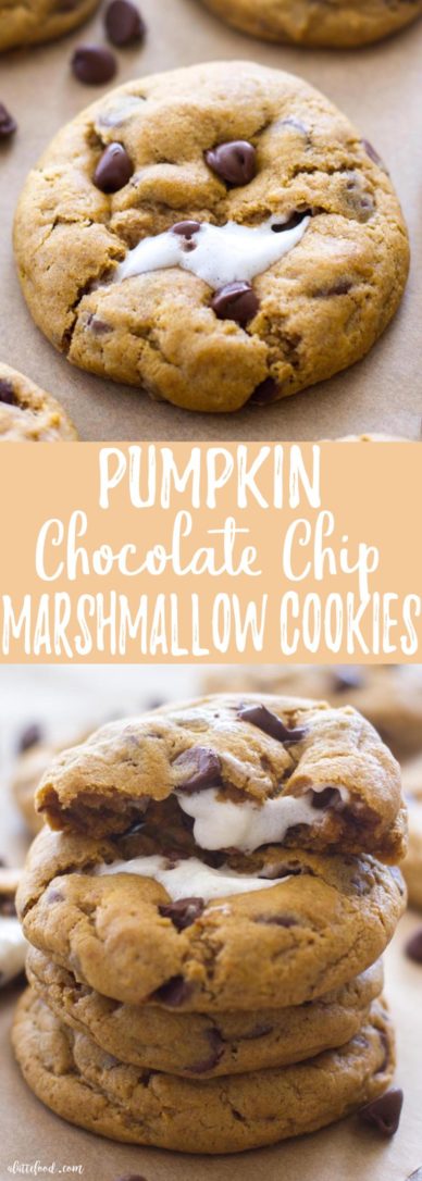 These thick and chewy Pumpkin Chocolate Chip Cookies are baked with a gooey marshmallow inside, making these rich, chocolatey pumpkin cookies the perfect fall dessert!